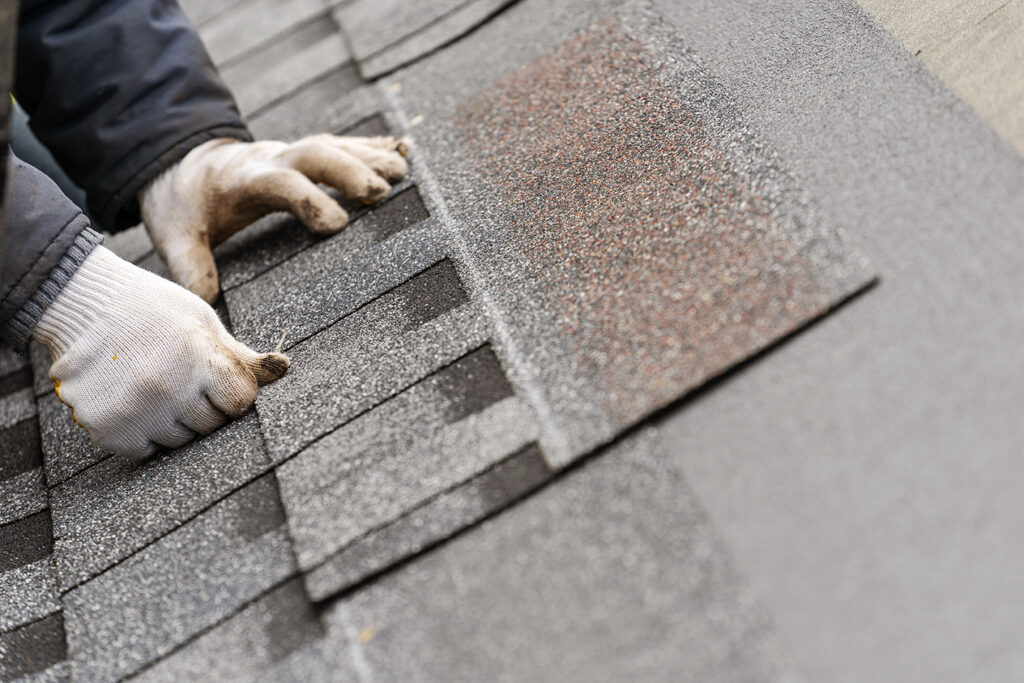 Roof Repair & Skylight Services. Roofer laying a shingle.